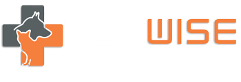 VETWİSE Veteriner Kliniği | Kadıköy Veteriner