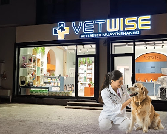 En İyi Kadıköy Veteriner